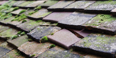Kelmscot roof repair costs